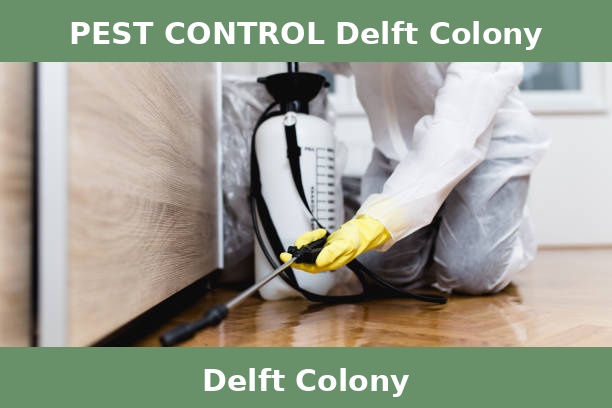 PEST CONTROL Delft Colony